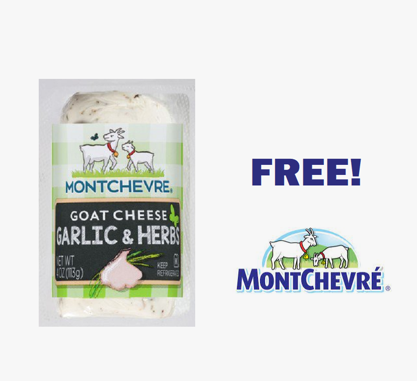 Image FREE Montchevre 4 oz Goat Cheese Log