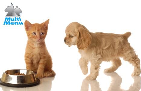 Image FREE Multi Menu Dog and Cat Food