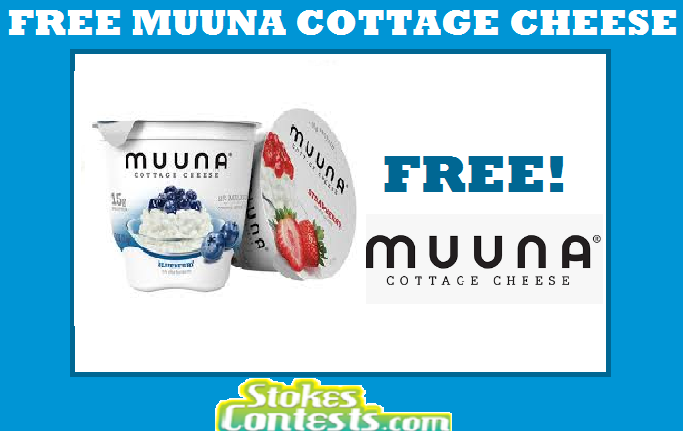 1_Muuna_Cottage_cheese