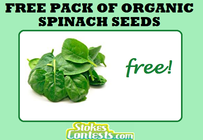 1_Organic_Spinach_Seeds