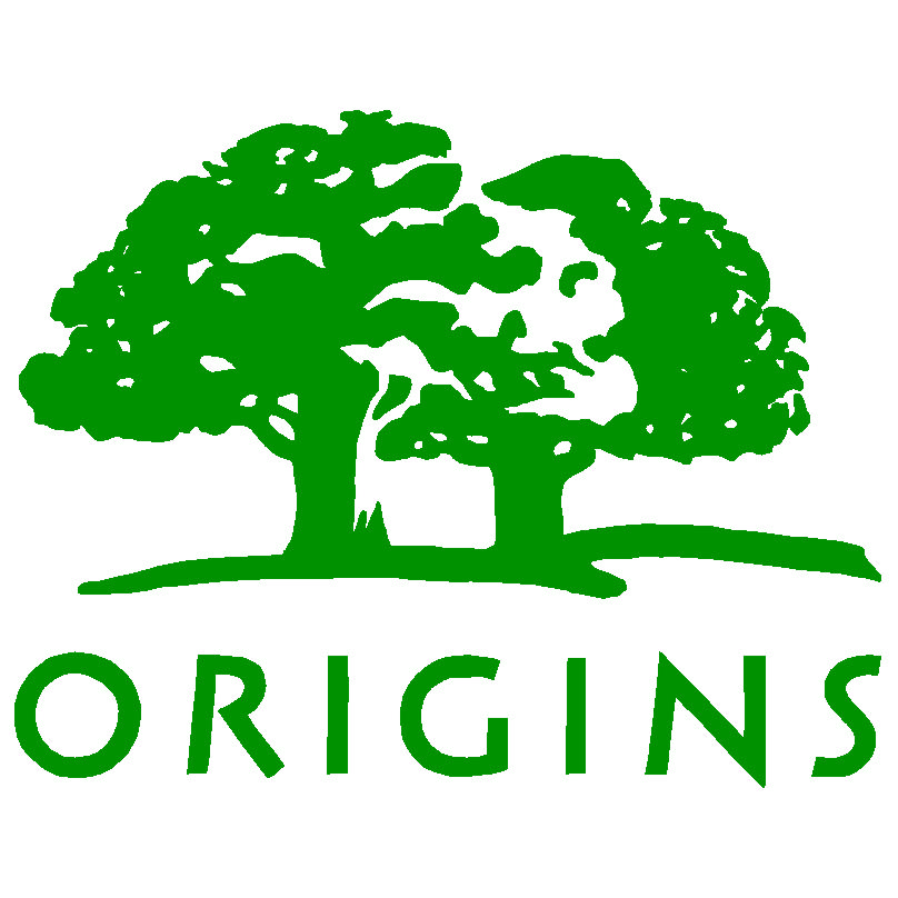 1_Origins