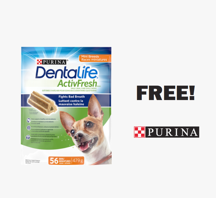 1_PURINA_DENTALIFE_ActivFresh