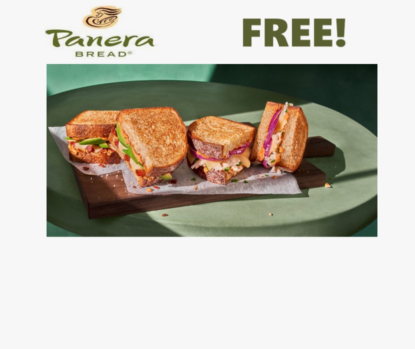 1_Panera_Sour_Dough_Sandwich