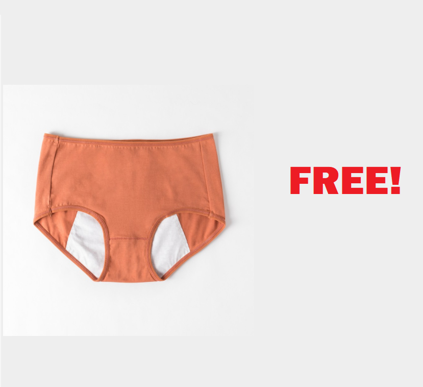 Image FREE Period Pants