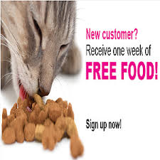 1_PetFood