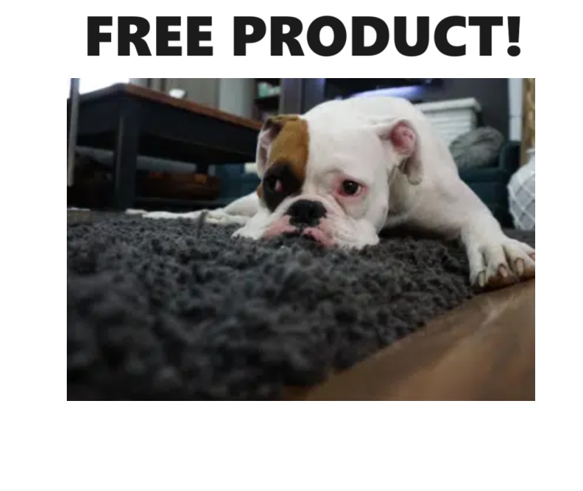 Image FREE Pet Stain Remover