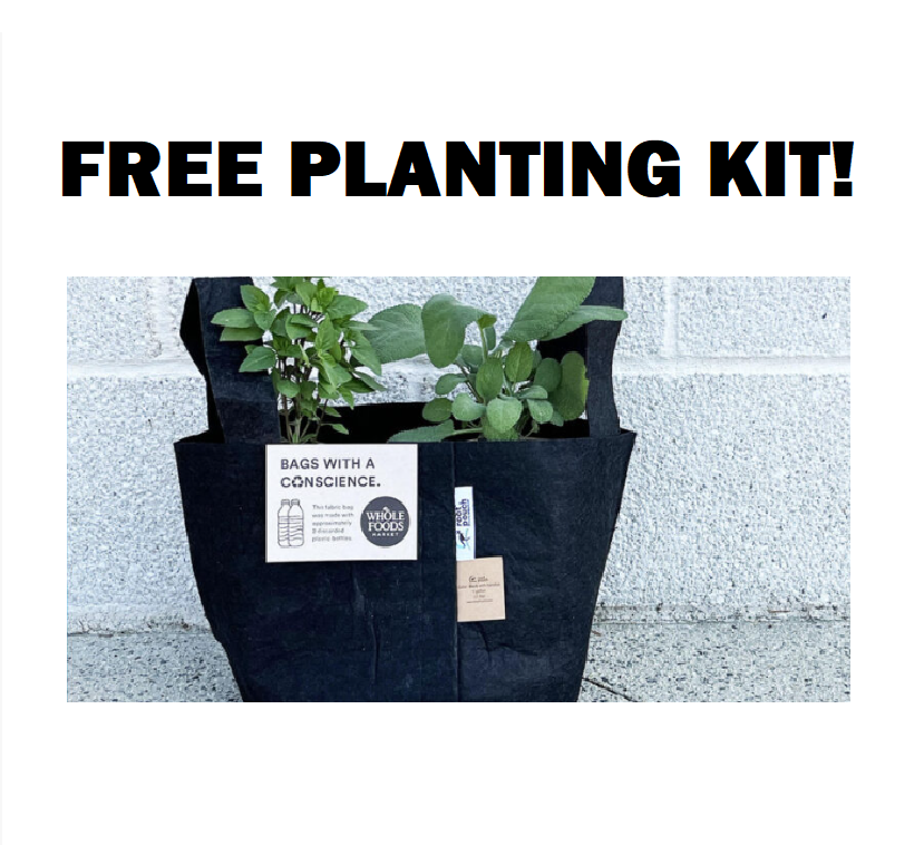 Image FREE Planting Kit at Whole Foods