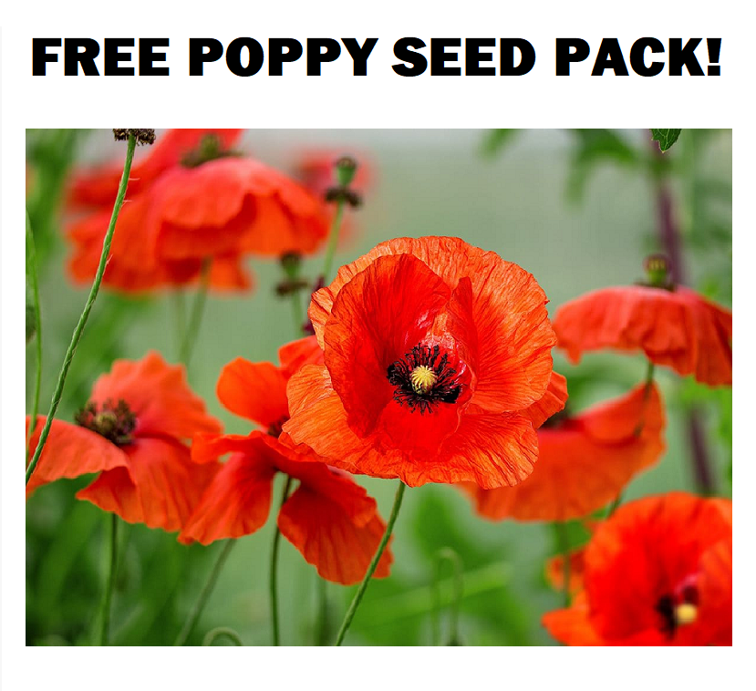 1_Poppy_Seeds_Packs