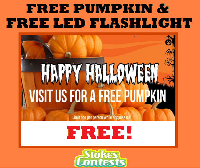 Image FREE Pumpkin & FREE Led Flashlight