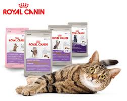 Image FREE Royal Canin Cat Food