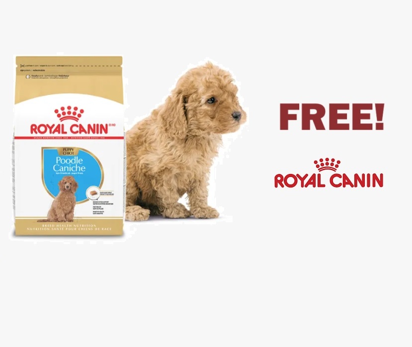 1_Royal_Canin_Breed_Health_Nutrition_Poodle_Puppy_Dr