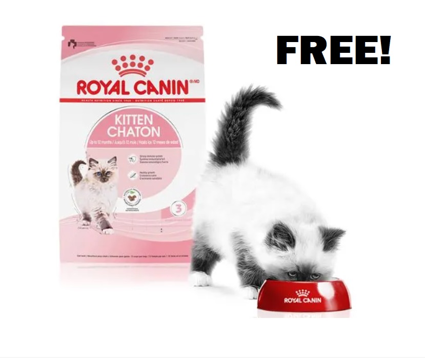 Image FREE Bag Of Royal Canin Feline Health Nutrition Kitten Dry Food 