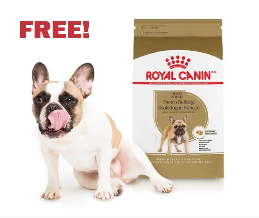 Image FREE Dog Food Bowl & FREE Bag Of Royal Canin French Bulldog Adult Dry Dog Food 