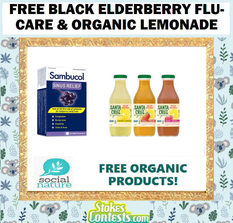 Image FREE Black Elderberry Flu-Care & FREE ORGANIC Lemonade