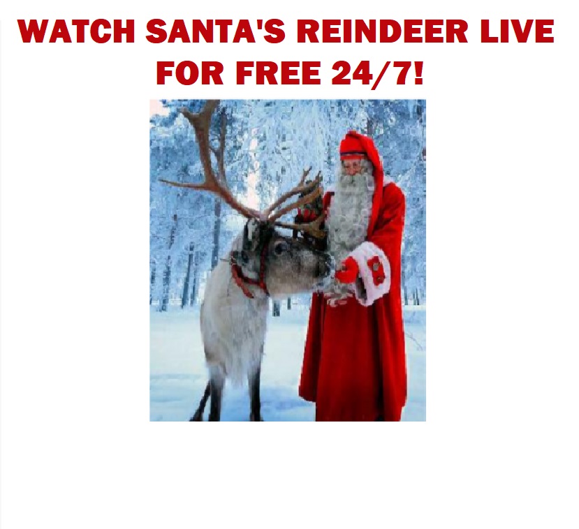 Image Watch Santa's Reindeer for FREE Live 24/7!!!