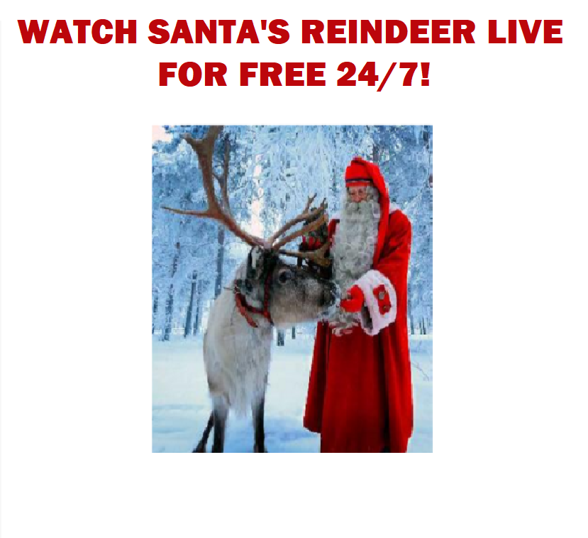 Image .Watch Santa's Reindeer For FREE Live 24/7!!