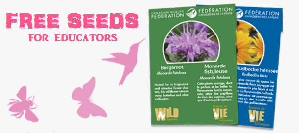 Image FREE Pollinator-friendly Seed Packets for Educators