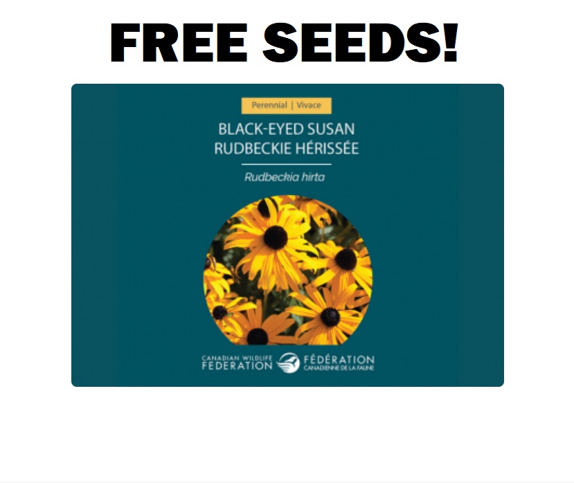 Image FREE Black-eyed Susan Seed Packets
