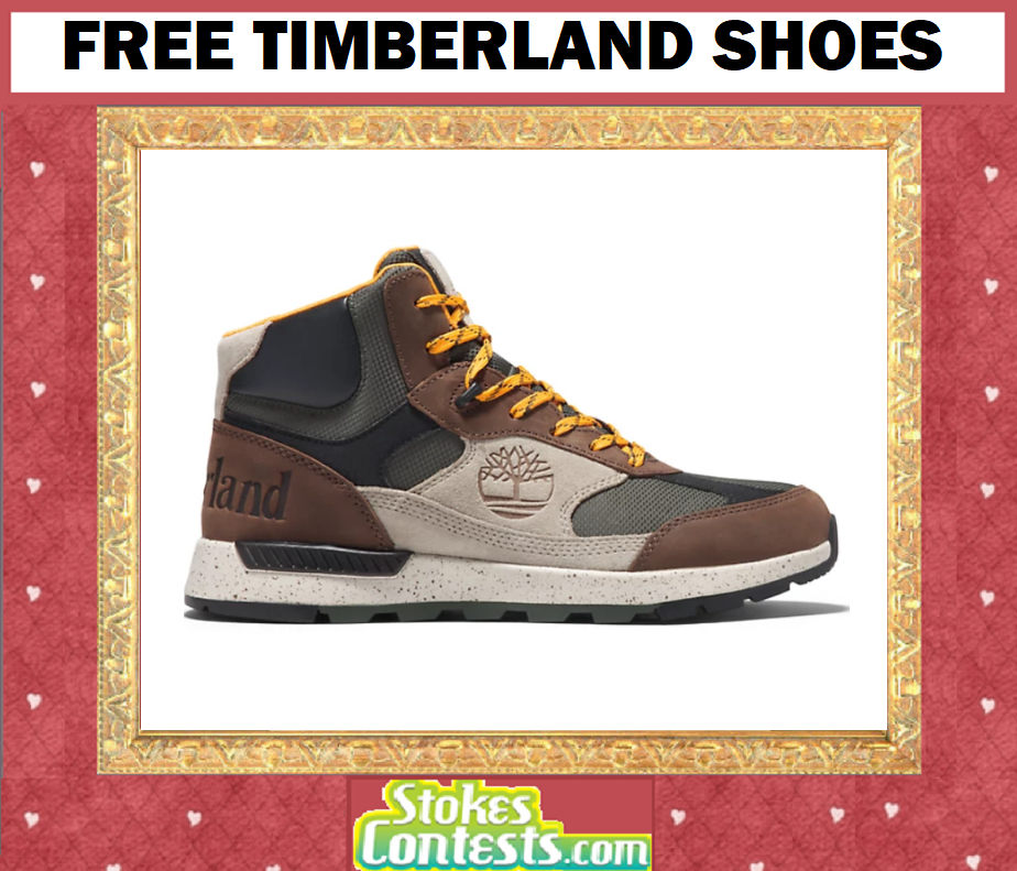 Image FREE Timberland Shoes