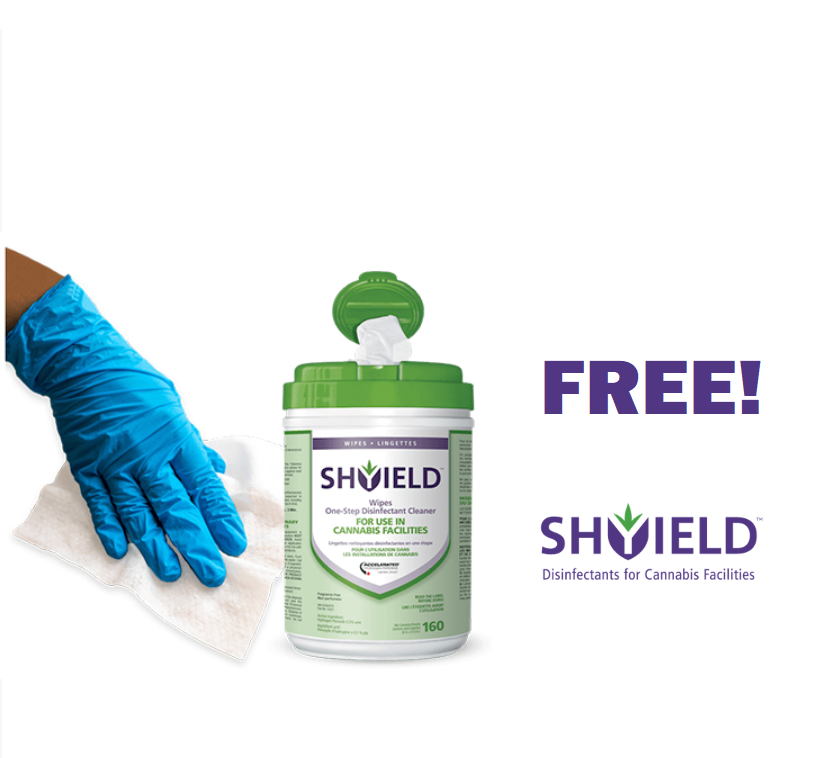 Image FREE SHYIELD Disinfectant Wipes