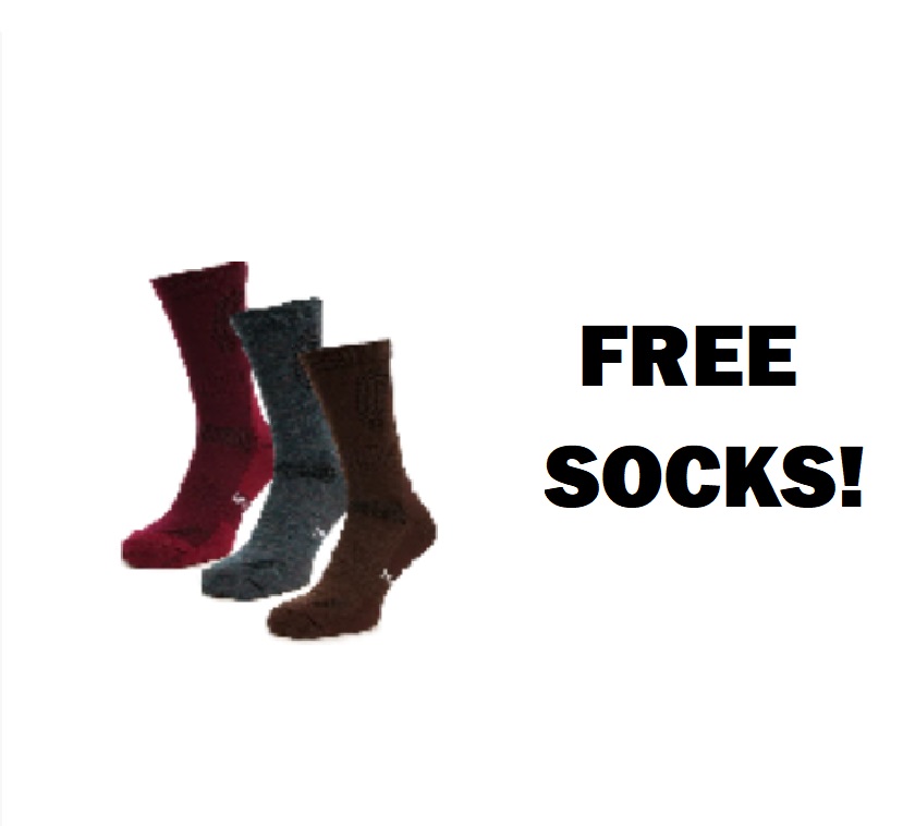 Image FREE Pair of Merino Tech Socks