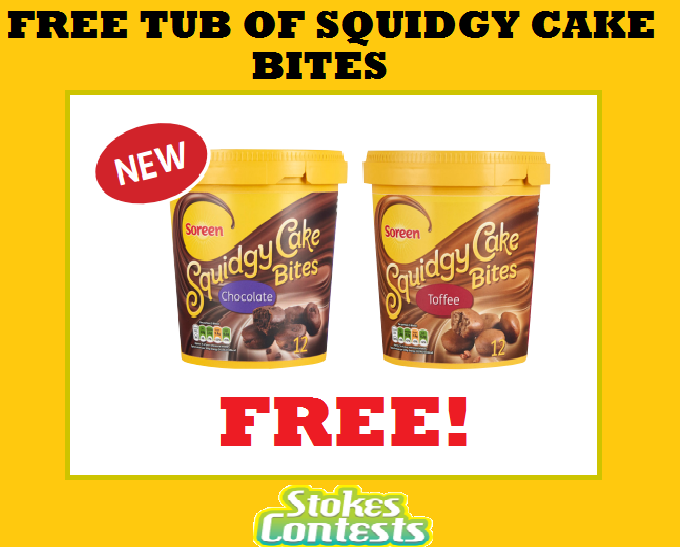 Image FREE Tub of Squidgy Chocolate Cake Bites