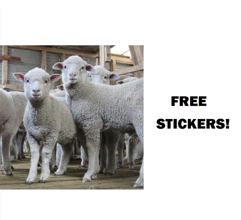 1_Stickers_Anti-Wool