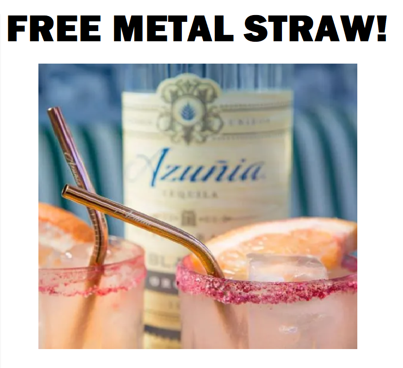 Image FREE Metal Straw From Azunia