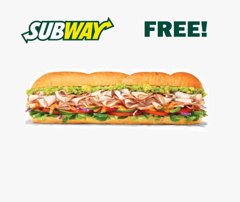 1_Subway_Subs