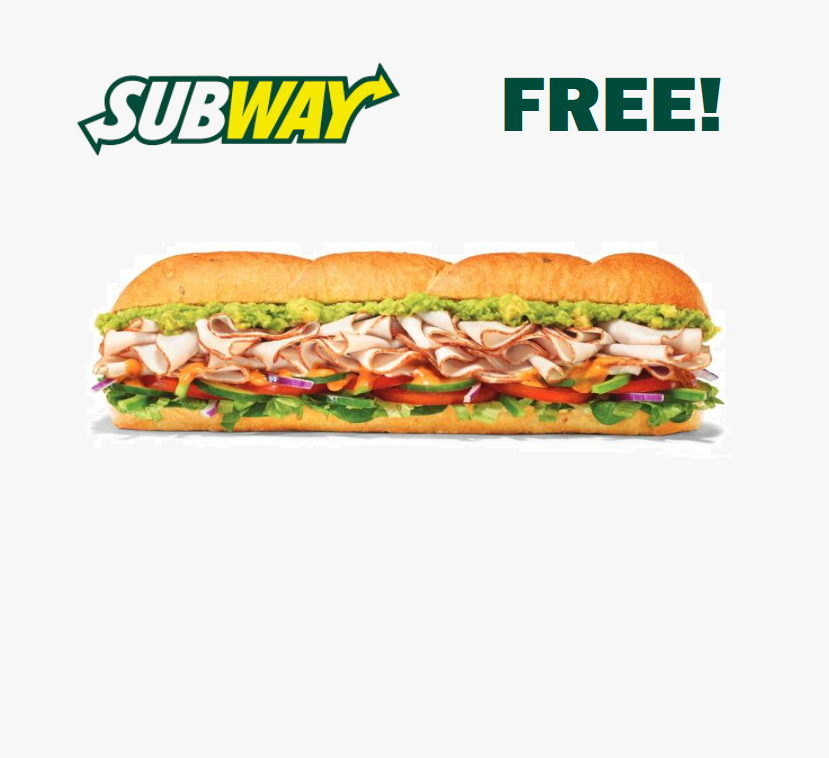 1_Subway_Subs