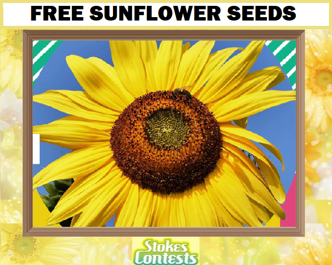 Image FREE Sunflower Seeds!