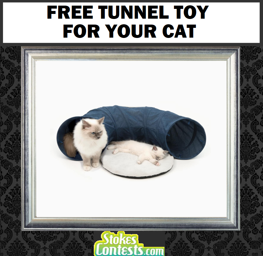 Image FREE Tunnel Toy For Your Cat