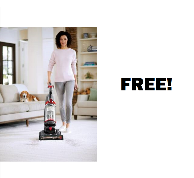 Image FREE Handheld Vacuum Cleaner!