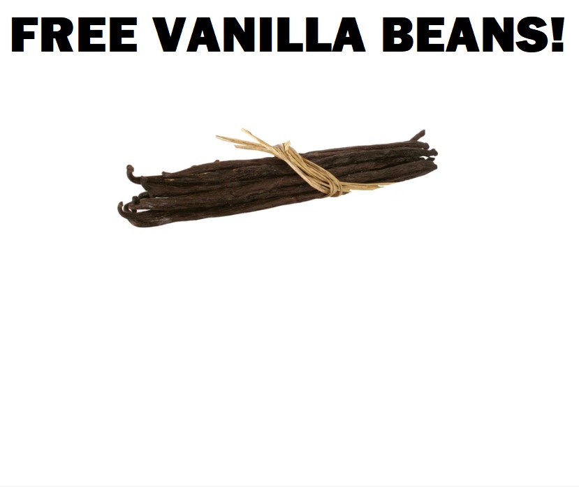 Image FREE Vanilla Bean