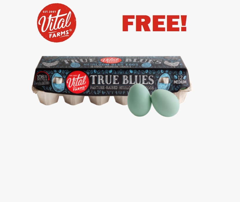 1_Vital_Farms_Eggs_3_BLLUE