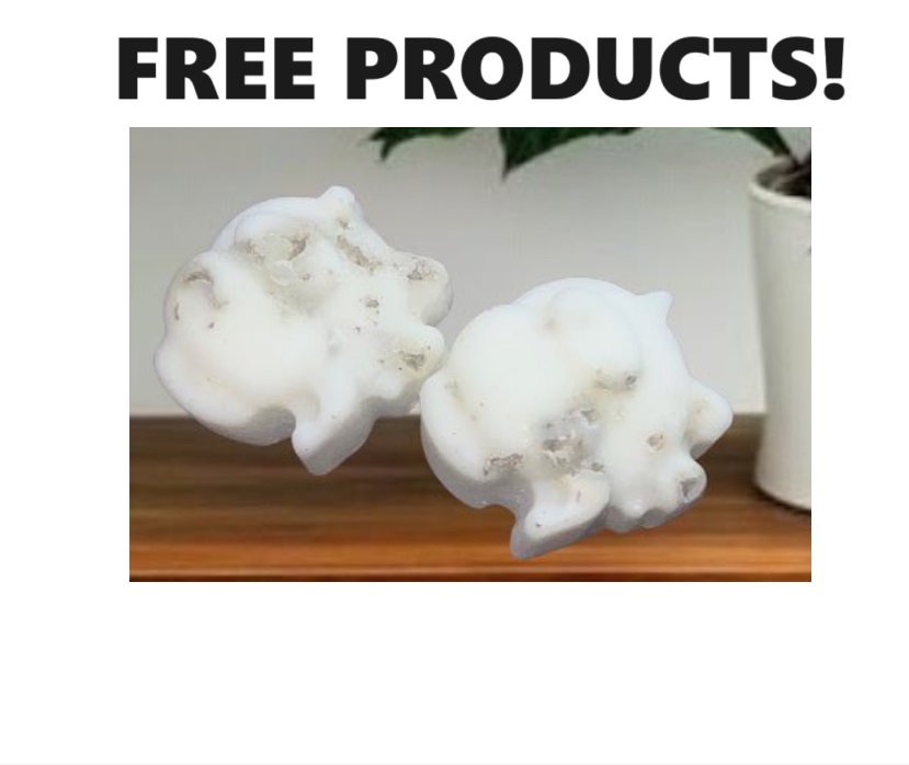 Image FREE 2-Pack of Wax Melt Samples 