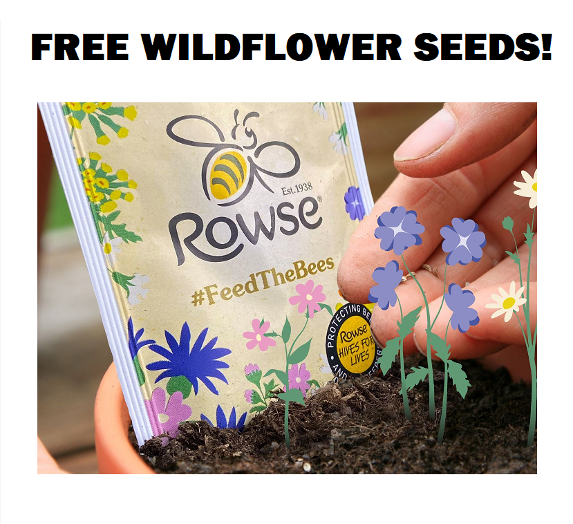 Image FREE Pack of Wildflower Seeds.