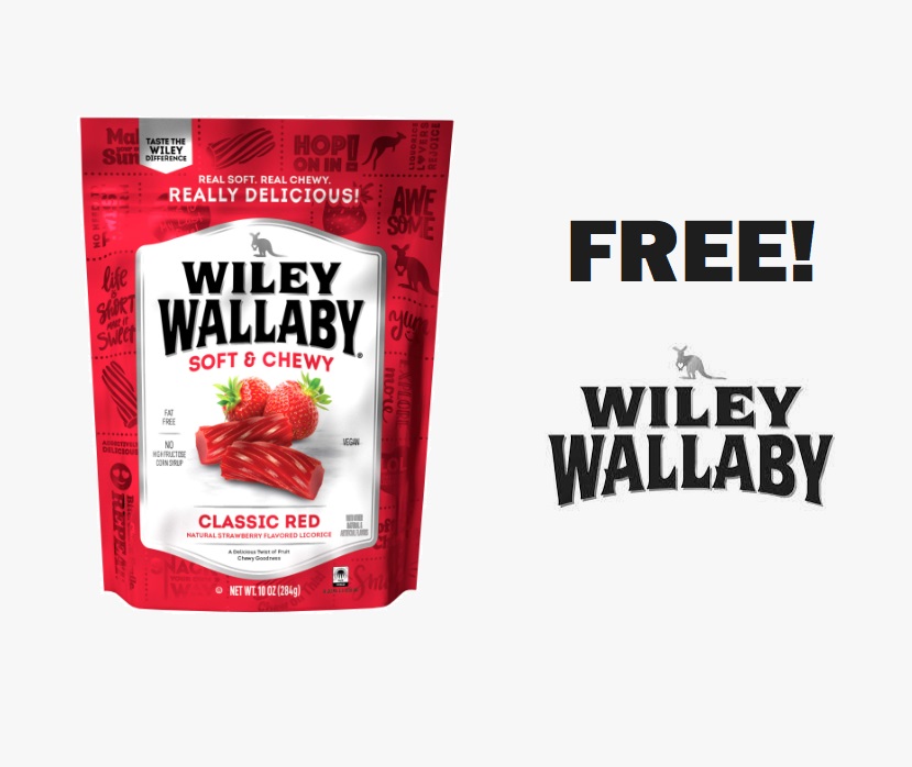 1_Wiley_Wallaby