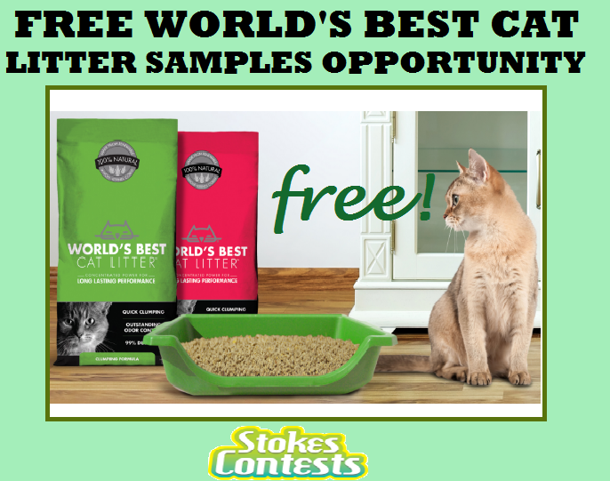 1_World_sBestCatlitter