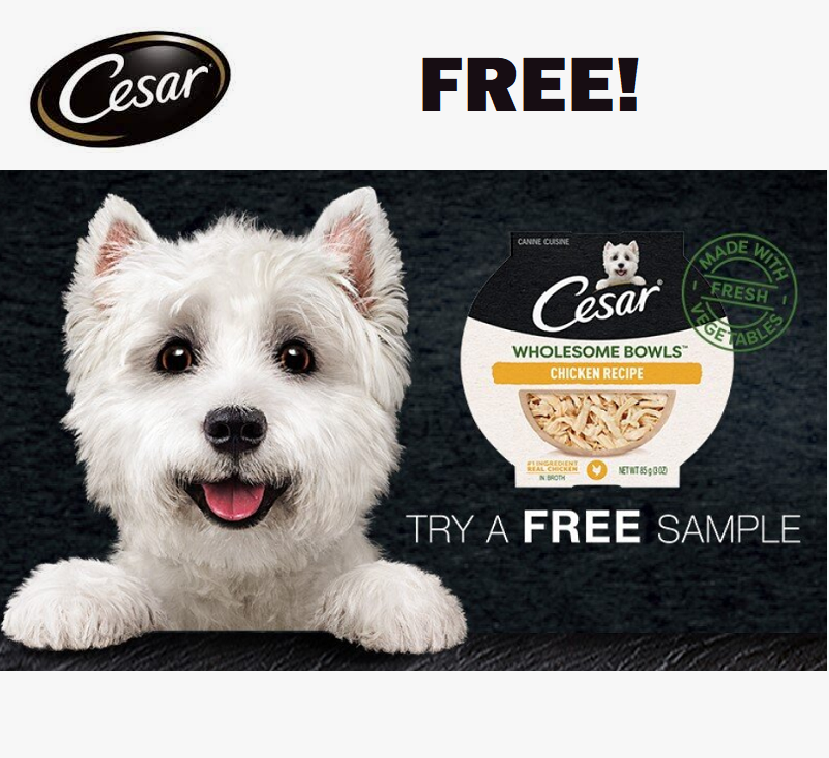 Image FREE Cesar Wholesome Bowls Dog Food