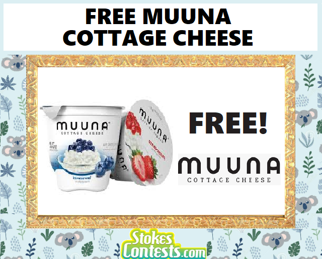 2_Muuna_Cottage_cheese