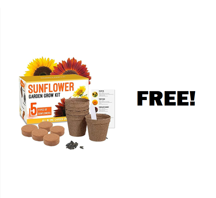 Image FREE Sunflower Seeds Kit