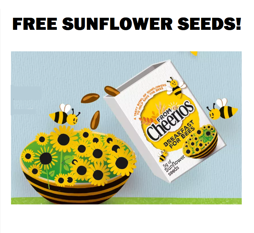 Image FREE Mini-Box of Sunflowers Seeds